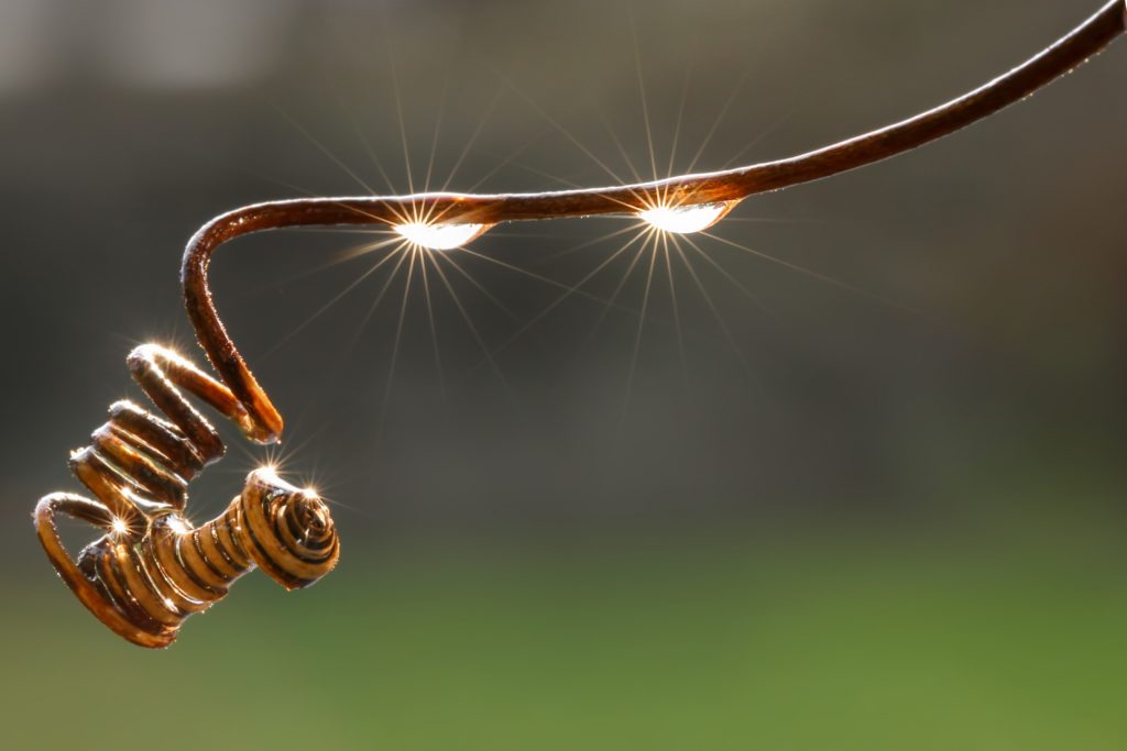 Mehr über den Artikel erfahren Künstler